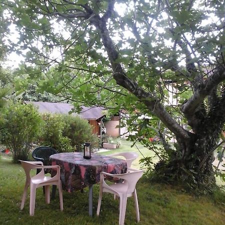 Gite L'Appel De La Foret Betplan Экстерьер фото