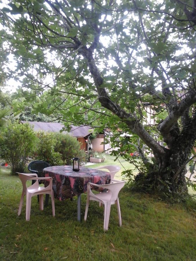 Gite L'Appel De La Foret Betplan Экстерьер фото