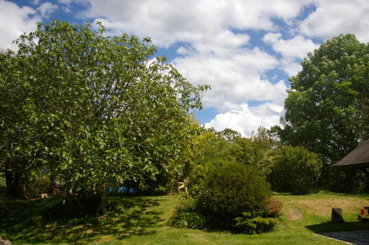 Gite L'Appel De La Foret Betplan Экстерьер фото