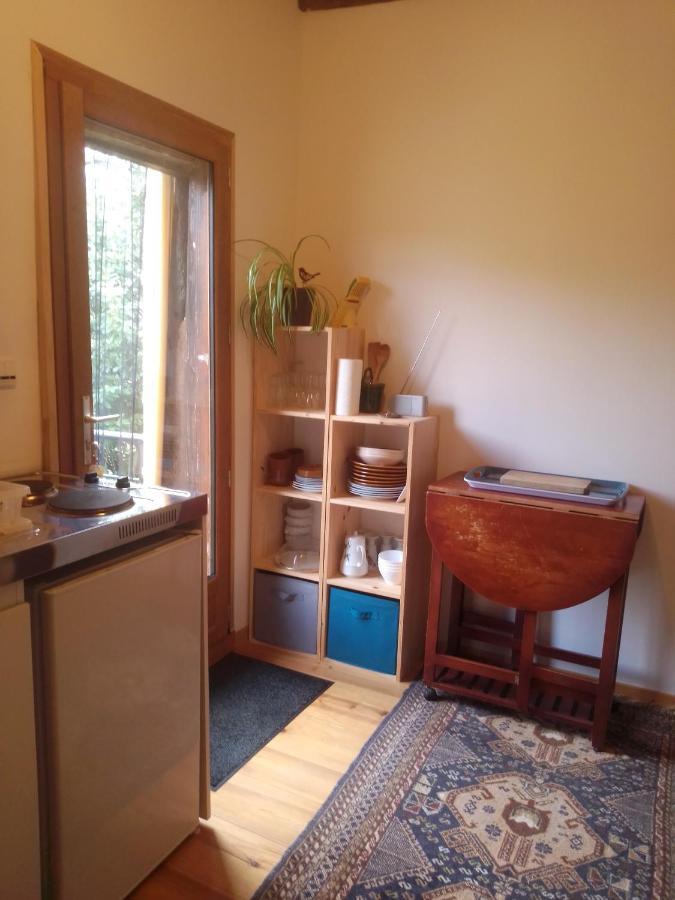 Gite L'Appel De La Foret Betplan Экстерьер фото